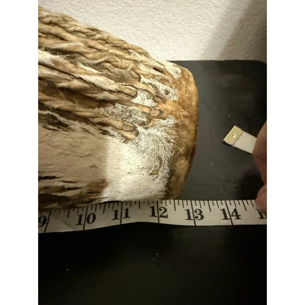 African Bongo Drum Zebra‎ Fur 12